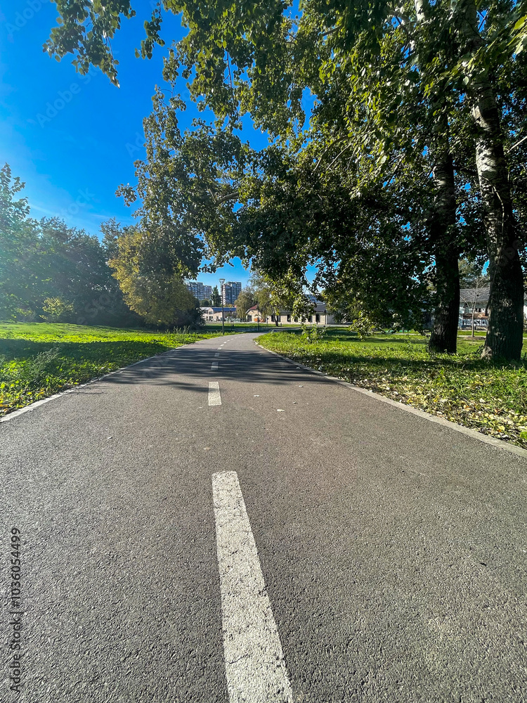 road in the park