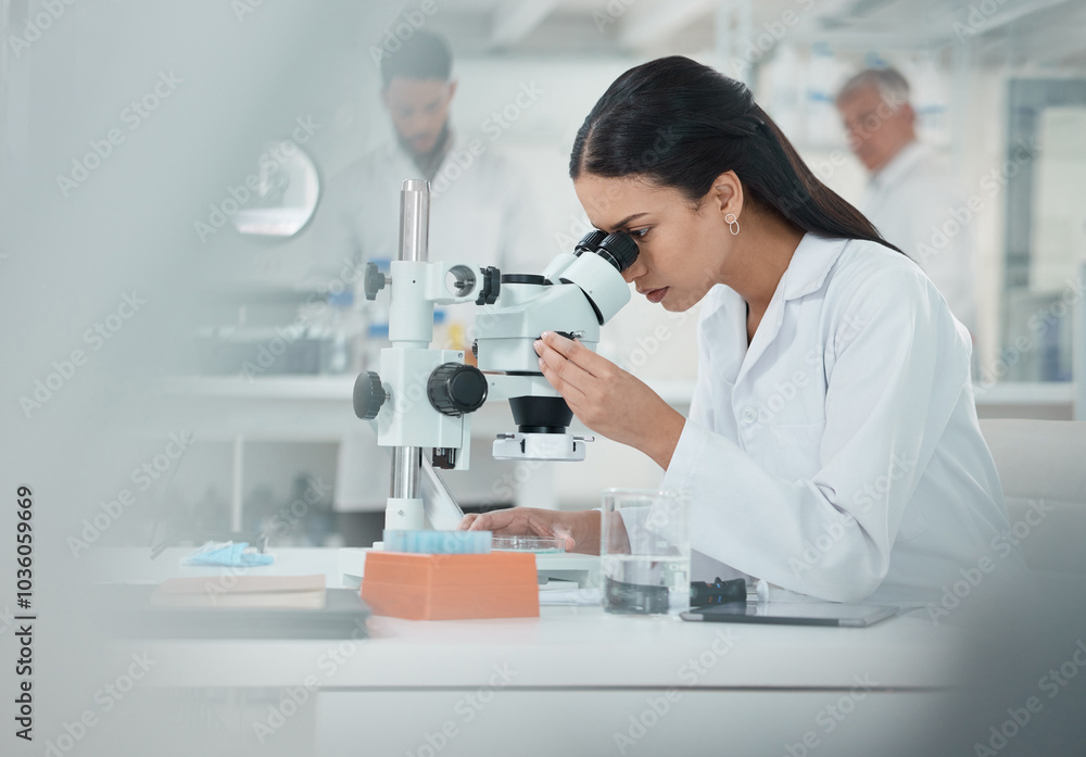 Scientist, woman and check with microscope in lab for disease experiment, medical study and dna process. Researcher, biotech and molecule exam of engineering, vaccine research and healthcare solution Scientist, woman and check with microscope in lab for disease experiment, medical study and dna process. Researcher, biotech and molecule exam of engineering, vaccine research and healthcare solution