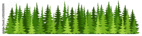 Forest fir trees silhouette. Coniferous spruce horizontal background. 