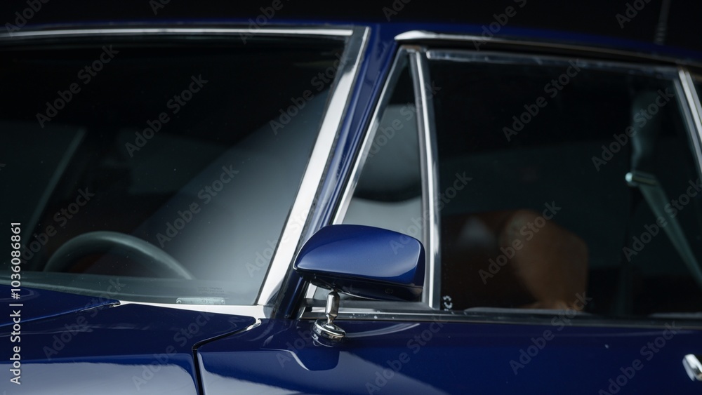 Drivers side mirror Drivers side mirror