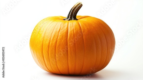 Orange musque de Provence pumpkin against a white backdrop