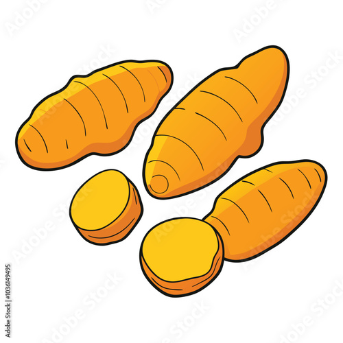 Turmeric root, organic spice, slices. Herbal food. Made in cartoon flat style. Vector illustration