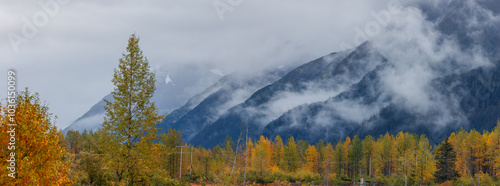 Scenic landscape in autumn time in Alaska countryside caught in dense fog.