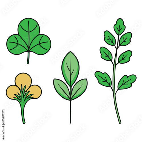 Fresh Watercress Art, Vector, Flat Vegetables Illustration Design On White Background