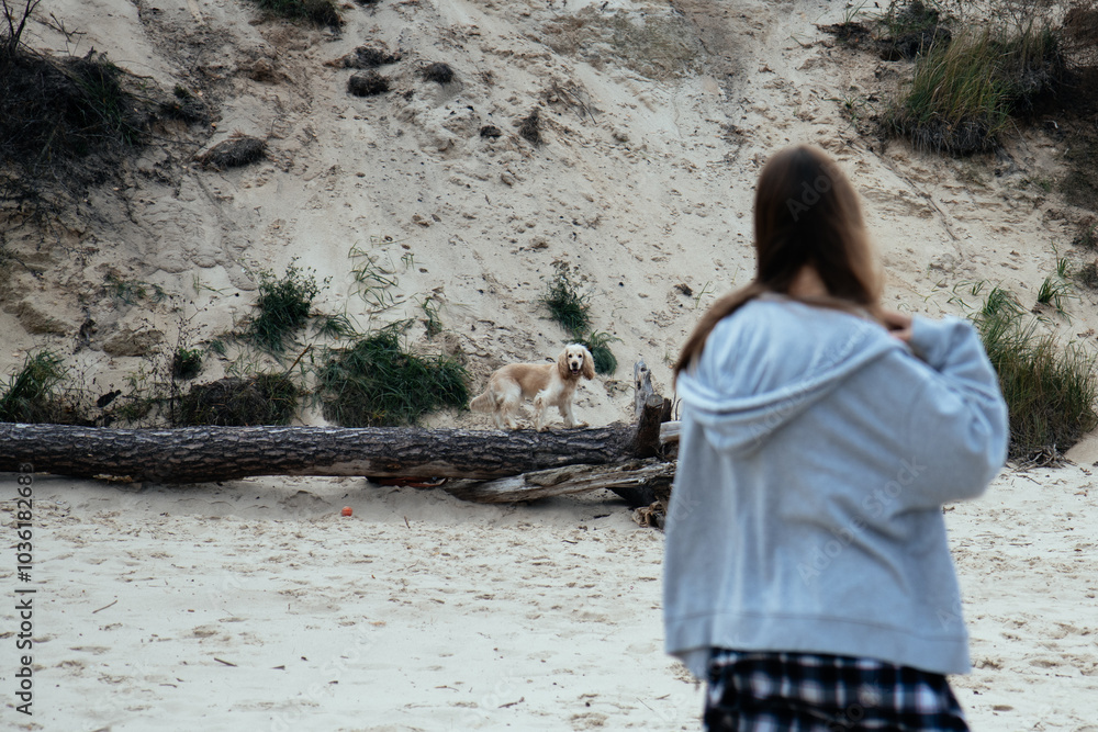 Young woman watching her dog explore the sandy terrain near the beach. The dog stands on a log, enjoying an outdoor adventure. Natural setting and casual autumn vibes.