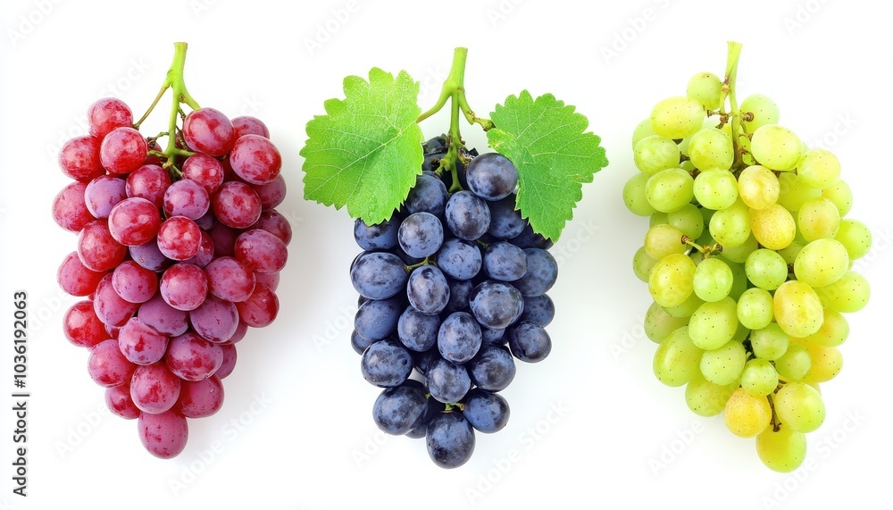 Fresh red, black, and green grapes grouped together with leaves on a white background Fresh red, black, and green grapes grouped together with leaves on a white background
