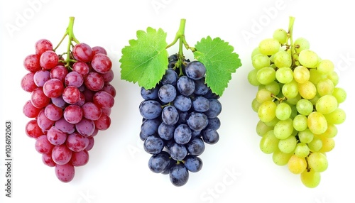 Fresh red, black, and green grapes grouped together with leaves on a white background