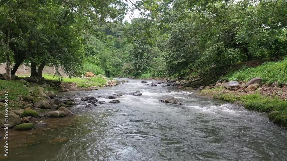 Flowing River in Tapachula Jungle Flowing River in Tapachula Jungle