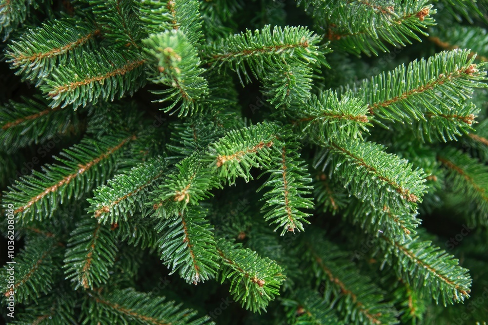 Close-up view of a Christmas tree background, ai Close-up view of a Christmas tree background, ai