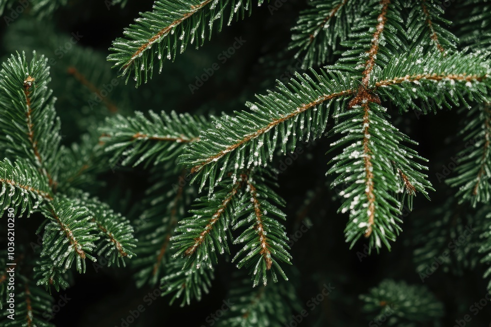 Close-up view of a Christmas tree background, ai Close-up view of a Christmas tree background, ai