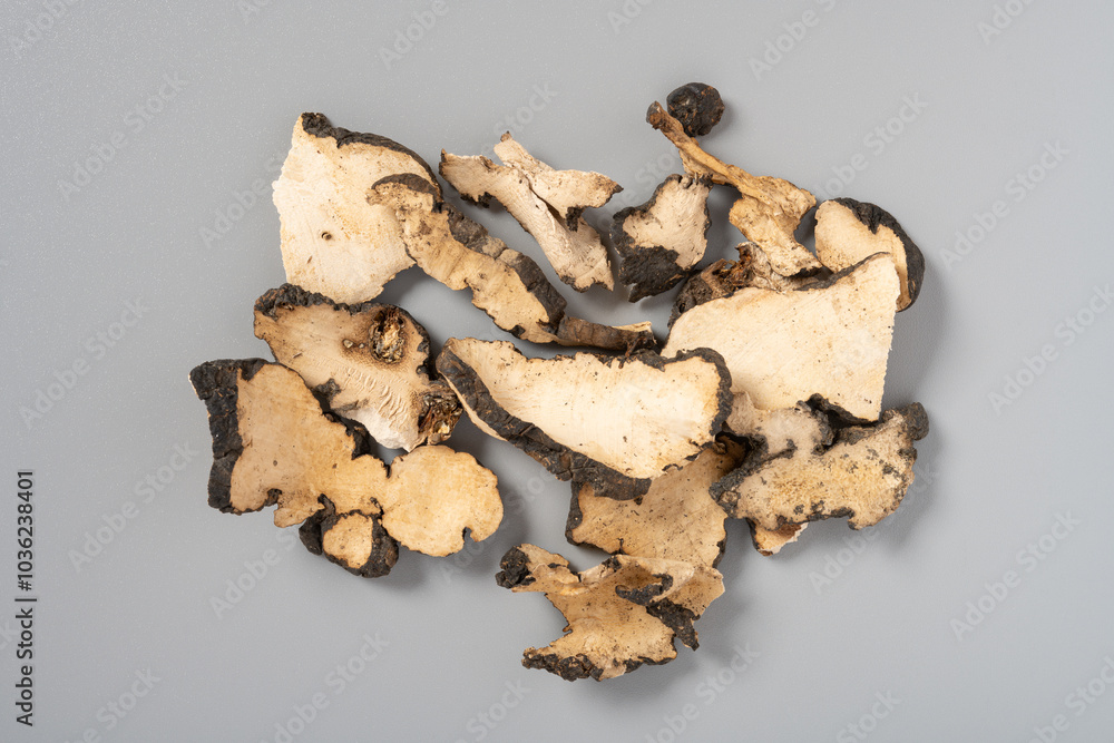 top view herb ZhuLing or Polyporus or Agaric top view herb ZhuLing or Polyporus or Agaric