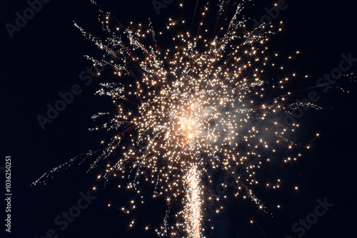 fireworks in the night sky