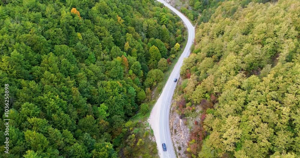 Aerial 4K stock video capturing a black car as the camera follows it along a winding road, surrounded by vibrant autumn foliage Aerial 4K stock video capturing a black car as the camera follows it along a winding road, surrounded by vibrant autumn foliage