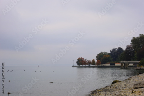 A calm autumn lake under foggy weather with no wind, creating a glassy surface. Ducks float peacefully on the water, while trees line the misty shore, adding to the tranquil scene. 