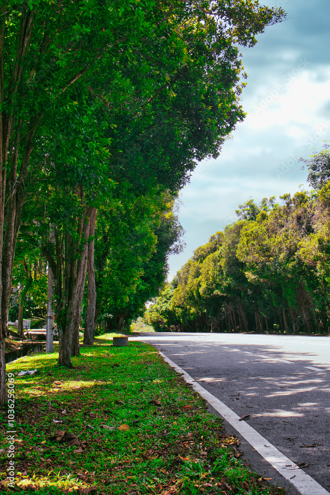 The country road stretches gently through a vibrant landscape in Melaka, Malaysia, lined with trees under a clear blue sky, creating a peaceful atmosphere perfect for a leisurely drive.
The country road stretches gently through a vibrant landscape in Melaka, Malaysia, lined with trees under a clear blue sky, creating a peaceful atmosphere perfect for a leisurely drive.