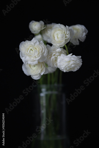 Ranunculus flower