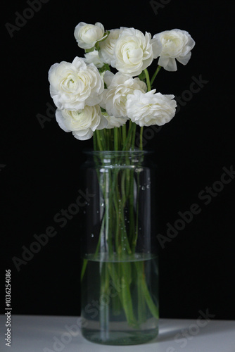 Ranunculus flower
