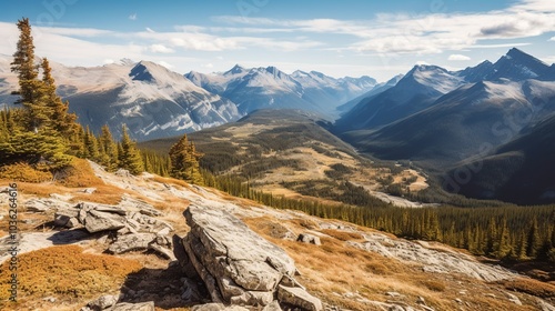 Panoramic view of a valley with mountains in the background, a rocky foreground, and a forest of evergreen trees.