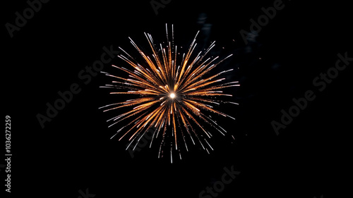 Wallpaper Mural Bright fireworks illuminate the night sky during a New Year’s Eve celebration in the city Torontodigital.ca