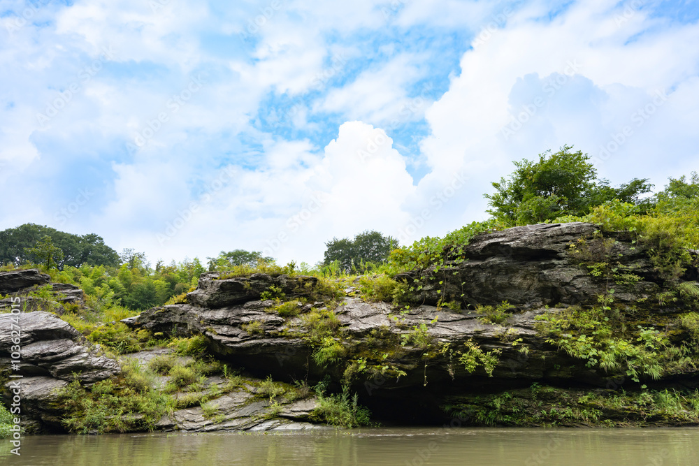 Obraz premium 埼玉県秩父郡長瀞町 長瀞ライン下り船上から見た風景