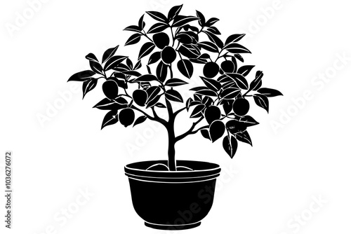 Orange tree in a pot  silhouette.