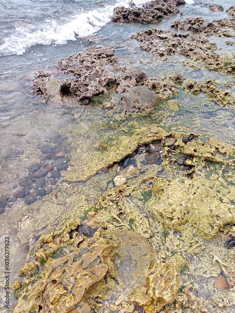 Waves crashing against the rocks on the shore