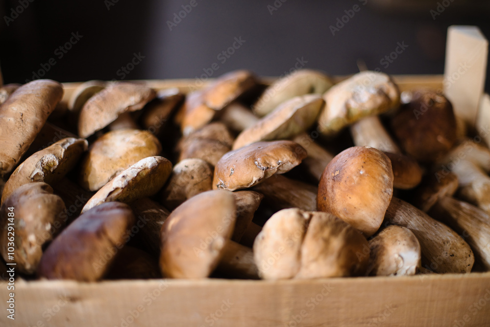 Paris,France - October 8, 2024: Porcini mushrooms or Cepe sold at open market in Paris, France Paris,France - October 8, 2024: Porcini mushrooms or Cepe sold at open market in Paris, France