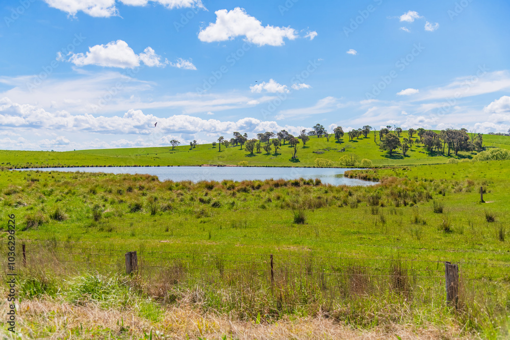 Rural fields and paddocks in the Blayney Shire Rural fields and paddocks in the Blayney Shire
