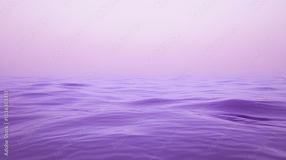 Purple Sea Landscape Purple Sea Landscape