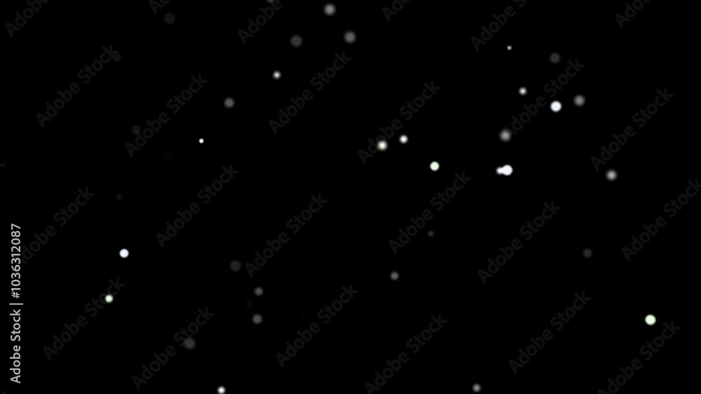 White luminous spores on a black background White luminous spores on a black background