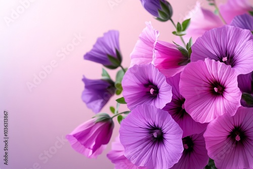 A delicate watercolor illustration of Malva flowers, with light washes of pinks and purples creating a dreamy effect