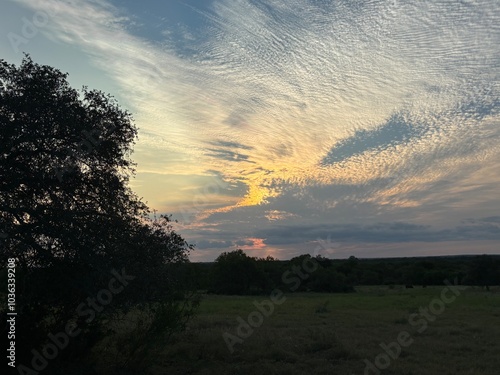 Sunset over forest and plains