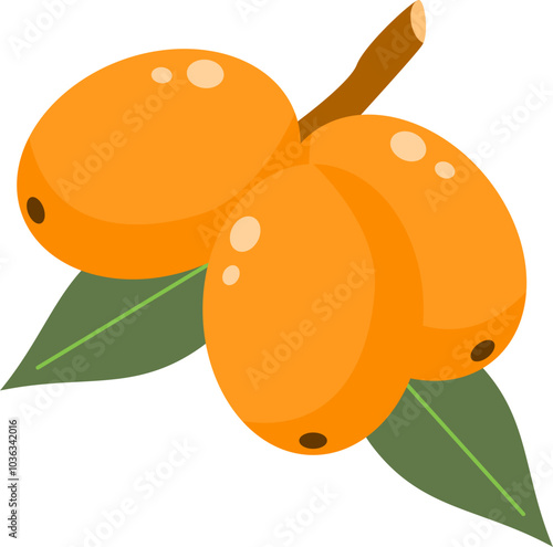 Sea Buckthorn Berry
