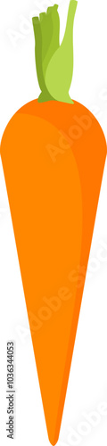 Carrot vegetable
