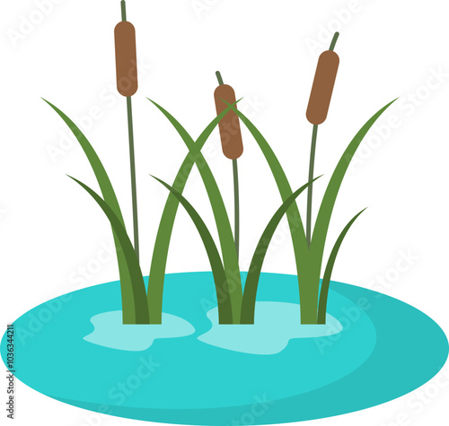 wetland and plants