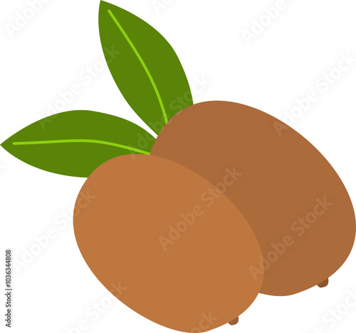 Sapodilla Fruit or Buah Sawo