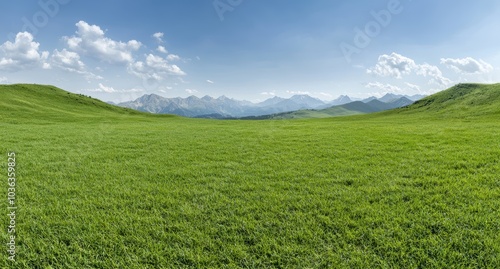 Scenic mountain landscape with green meadow