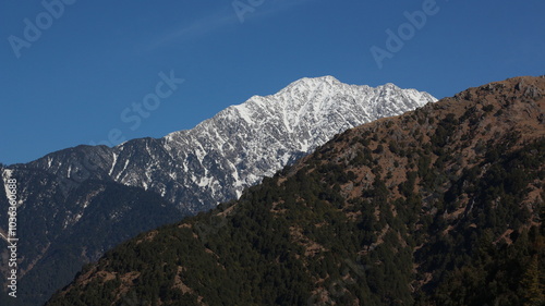 snow covered mountains