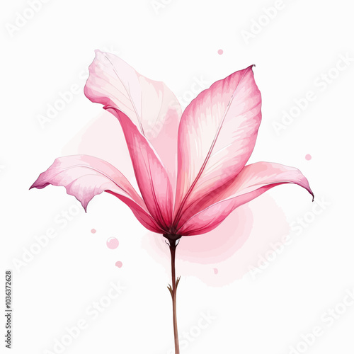 Delicate Pink Watercolor Flower