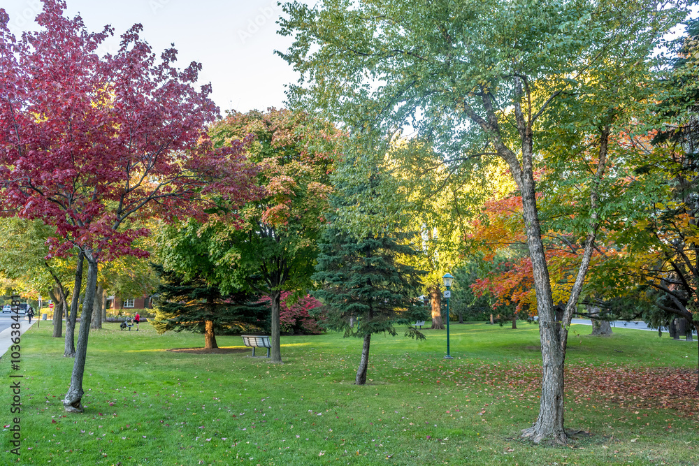 Naklejka premium La ville de Montreal au Quebec Canada