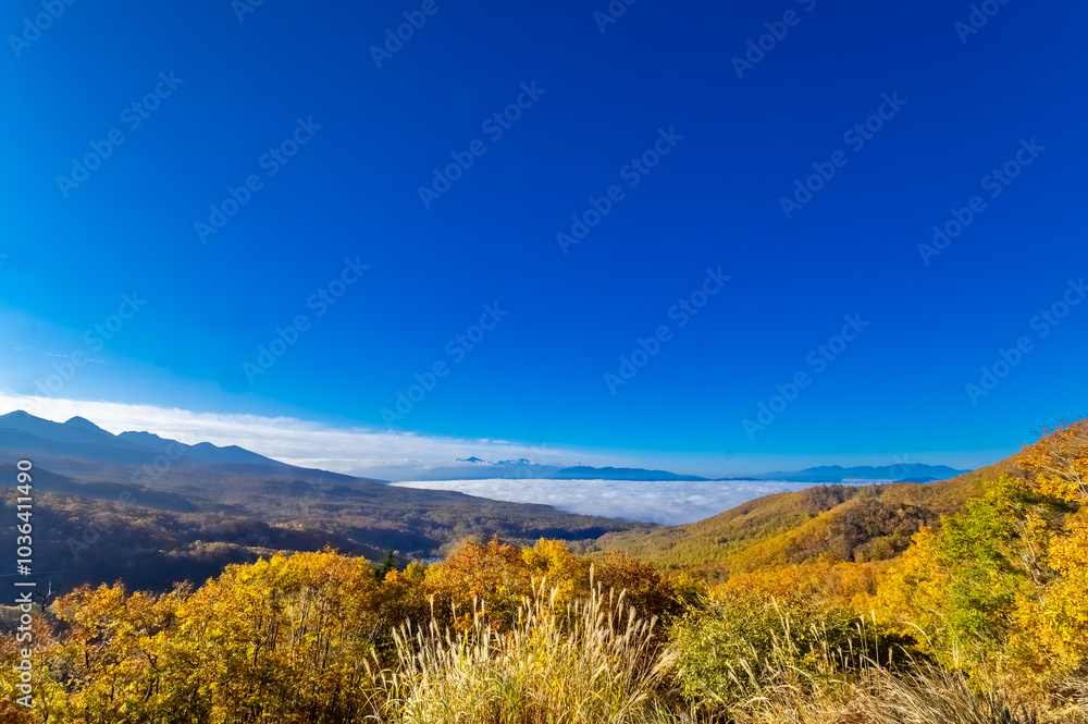 女の神展望台から八ヶ岳、南アルプス、雲海
