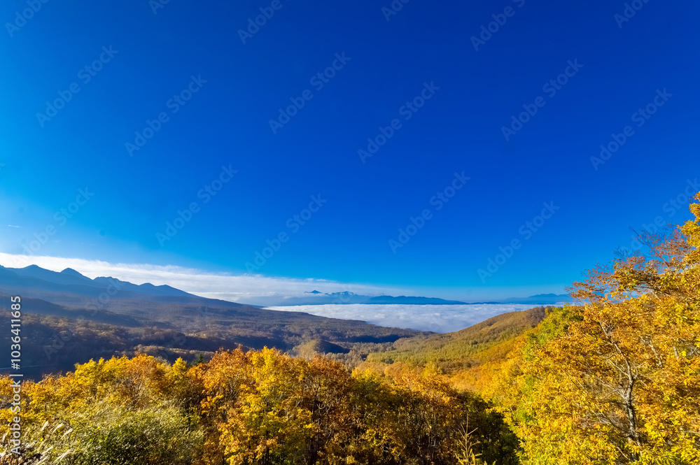 Naklejka premium 女の神展望台から八ヶ岳、南アルプス、雲海