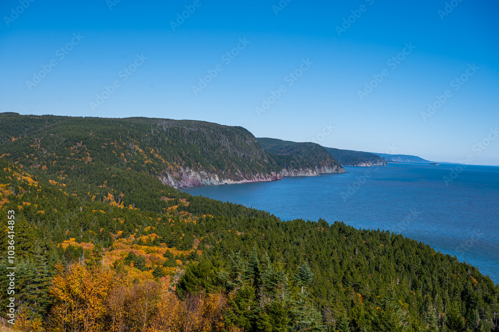 Fototapeta premium Beautiful autumn day in Fundy trail parkway