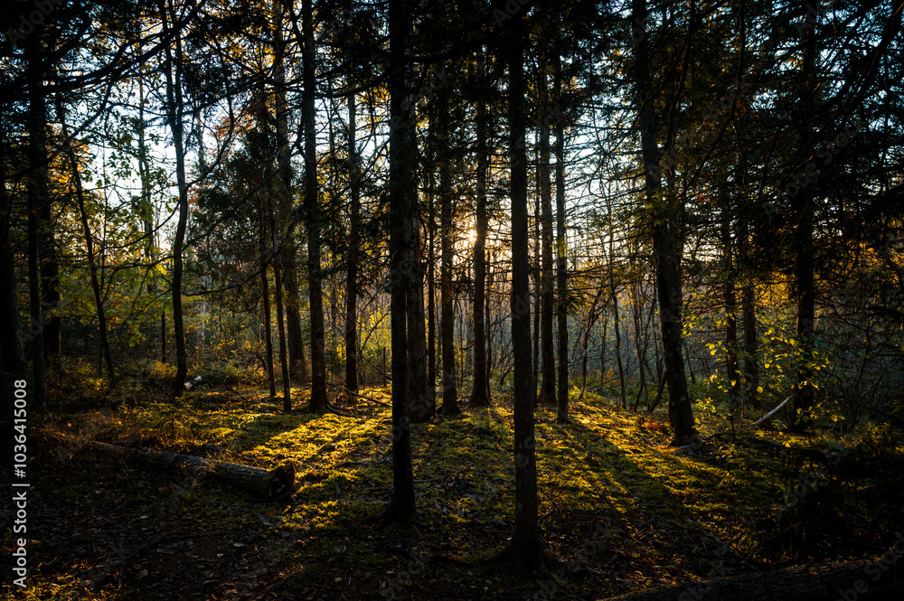 Beautiful autumn day in Fundy trail parkway Beautiful autumn day in Fundy trail parkway