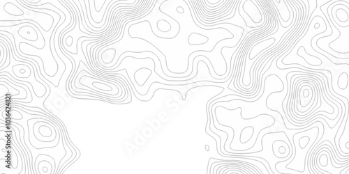 Vector lines pattern seamless sea map topography design. White wave paper curved reliefs Contour maps.