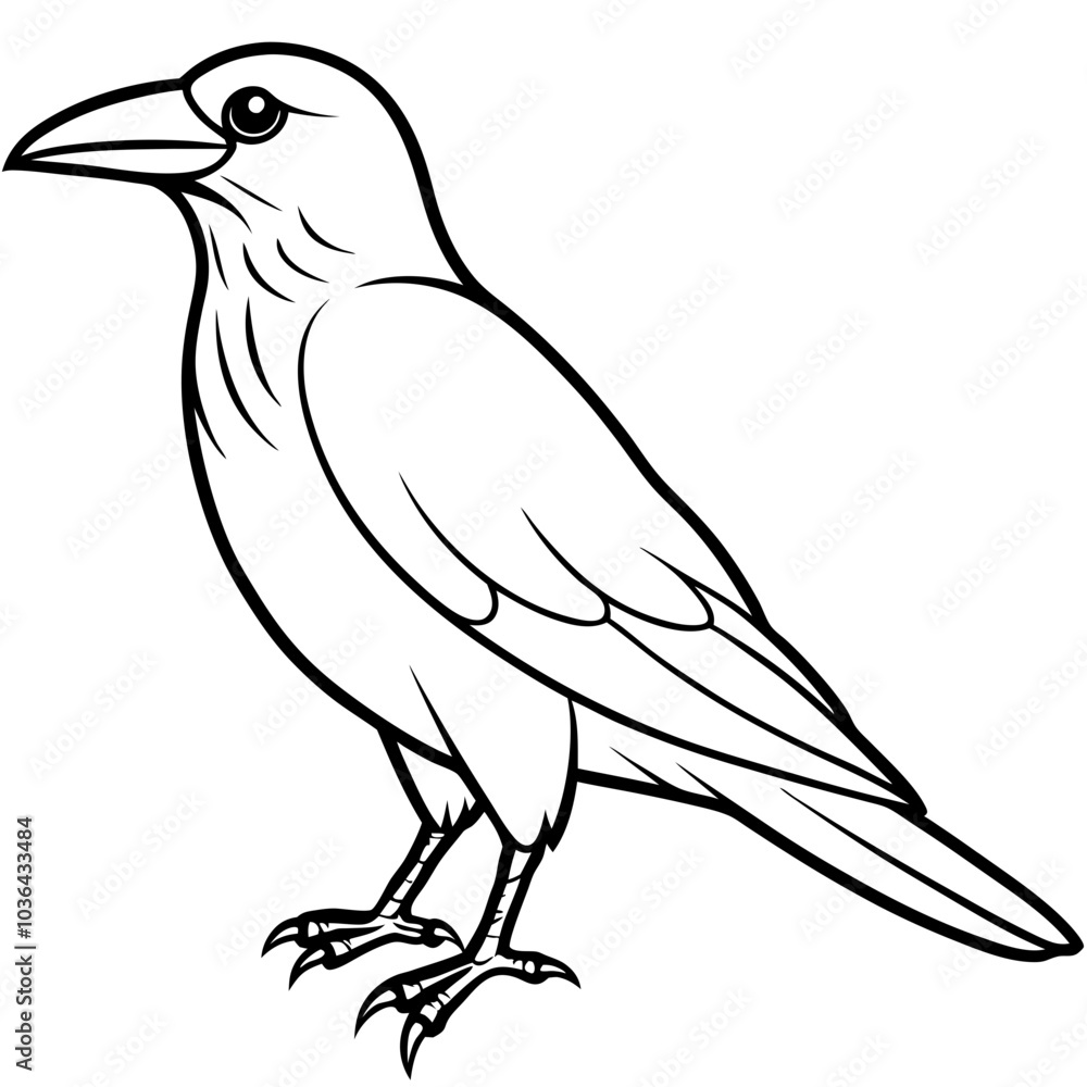 crow crow