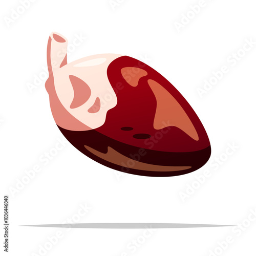 Chicken heart vector isolated illustration