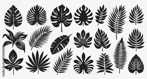Wallpaper Mural Tropical Leaves Silhouette Bundle Clip Art Vector Illustration Isolated on White Background  Torontodigital.ca