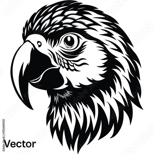 Adobe Illustrator Artwork eagle bird 