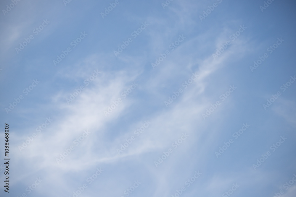 A blue sky with a cloud that looks like a bird A blue sky with a cloud that looks like a bird